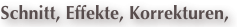 shapeimage_27_link_0